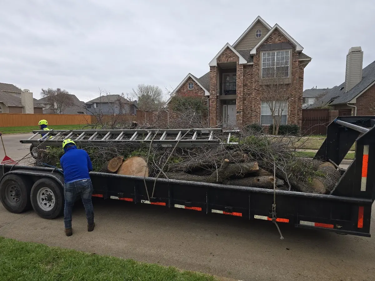 Expert Tree Pest Control with proper safety equipment in East Helena